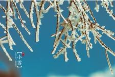 2017年小雪是什么时候 2017年小雪节气是哪天