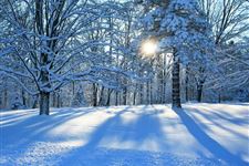 2018年大寒会下雪吗