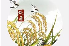 处暑(每年8月22日-24日)