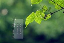 1.小暑是几月几日,2018年小暑是什么时候