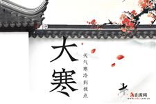 4.大寒是什么意思:天气寒冷到极点