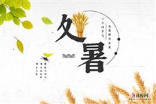 8.处暑图片,关于处暑节气的图片大全