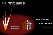 世界无烟日是几月几日,世界无烟日是哪一天,世界无烟日手抄报,世界无