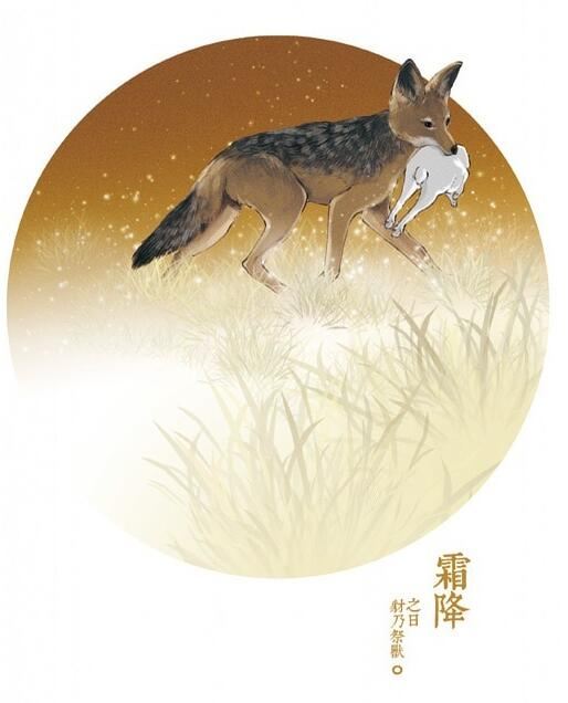 中国72物候之霜降,霜降分哪三候?