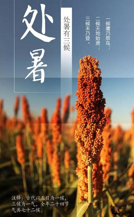 处暑习俗:秋收始,渔船开