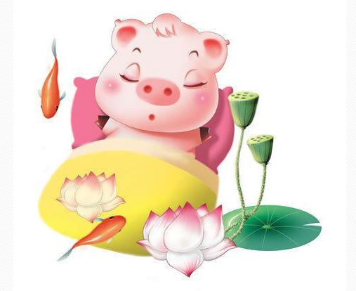 属猪的今年多大