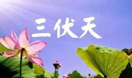 三伏天怎么算 2017年三伏天时间表