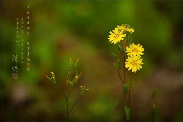 2018清明放假时间 2018清明节放假安排