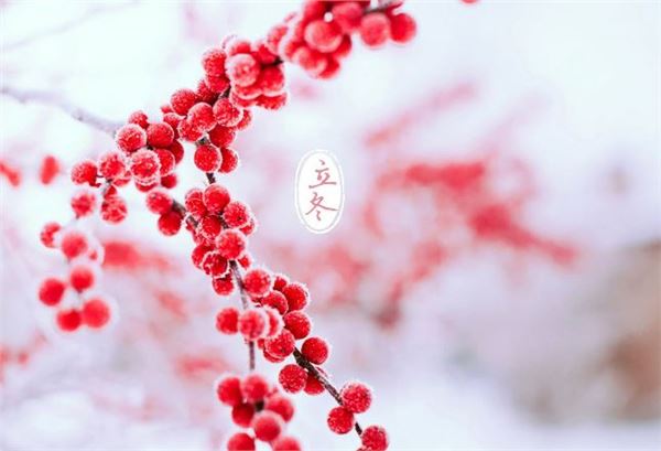 立冬:2019年11月8日