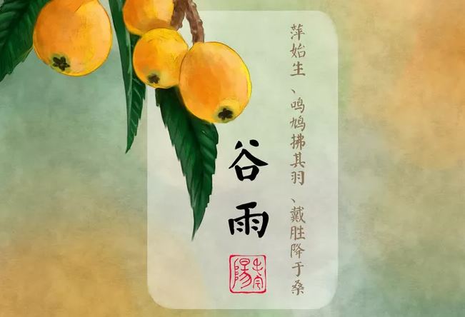 3.谷雨三候:萍始生,呜鸠拂其羽,戴任降于桑