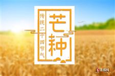 11.最新芒种祝福短信,芒种养生短信