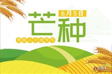 9.芒种都有什么谚语,关于芒种谚语大全