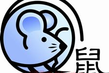 属鼠的今年多大 2015年属鼠的人今年多大?