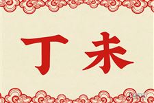 丁未是什么意思 丁未的意思详解
