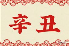 辛丑是什么意思 辛丑的意思详解