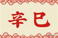 18.辛巳是什么意思 辛巳的意思详解