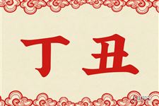 14.丁丑是什么意思 丁丑的意思详解
