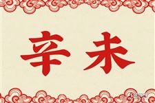 8.辛未是什么意思 辛未的意思详解