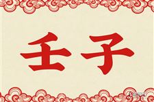 壬子是什么意思 壬子的意思详解