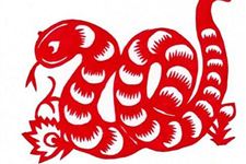 89年男女属蛇的属相婚配表