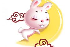 属兔的本命年结婚好吗