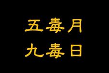 九毒日是什么,九毒日的真正含义