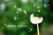 惊蛰农事安排