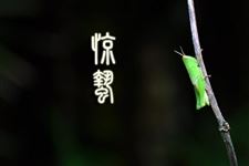 惊蛰节气农事