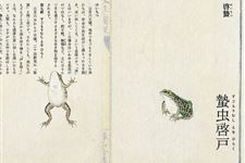 日本七十二物候:启蛰三候
