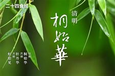 清明食经:清明吃什么好,清明时令食物大全