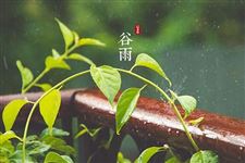一多二防 谷雨这样养生才健康