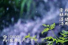 谷雨养生要避免过度出汗 防花粉过敏
