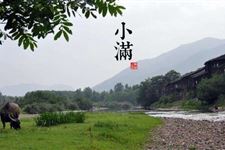 小满吃什么 小满习俗