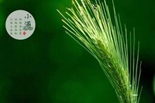 2017年5月21日是小满吗