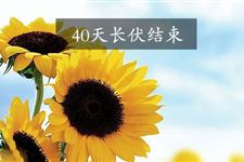 2017年出伏天气是不是凉快 2017年出伏天气如何