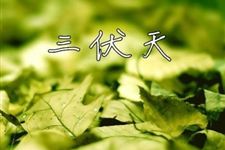 出伏天如何养生 2017年出伏养生的方法有哪些