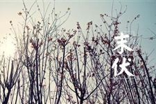2017年末伏是几月几号到几月几号