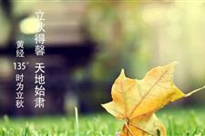 2017年末伏是哪天结束 末伏是出伏天吗