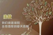 2017年出伏了还热吗