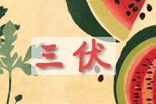 2017三伏天后天气会变凉快吗