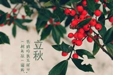 立秋的诗句大全 2017年立秋的诗句有哪些