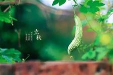 各地立秋习俗 立秋的传统习俗有哪些