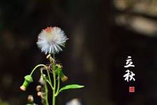 立秋之后还热妈 2017年立秋后还会热多久