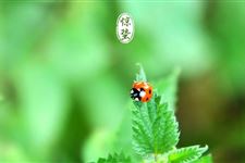 今年惊蛰是什么时候 2018年惊蛰具体时间