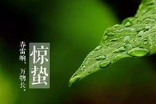 惊蛰吃梨的好处 惊蛰为什么要吃梨