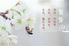 惊蛰节气出生的人运势如何 惊蛰节气出生的人运性格如何