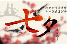 2017年适合单身狗说说推荐 2017年适合单身狗的说说有哪些