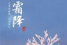 霜降天气会冷吗 气温是多少度才能霜降