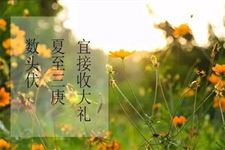 三伏的日期怎样确定