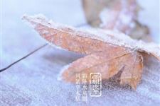 2017年霜降是适不适合结婚